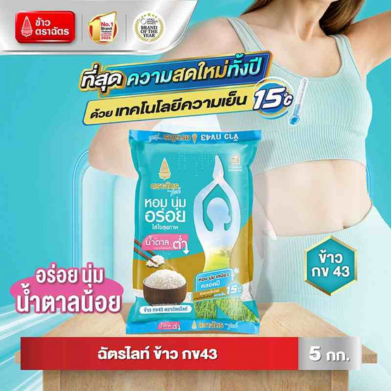 ฉัตรไลท์ ข้าวกข43 5 กิโลกรัม ฉัตรไลท์ ข้าวกข43 5 กิโลกรัม