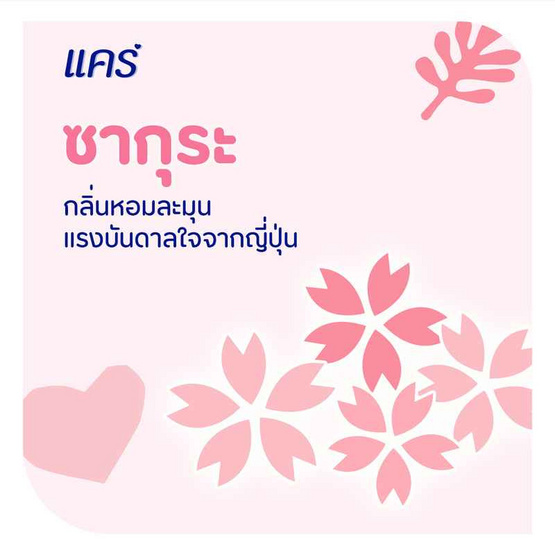แป้งเด็กแคร์ซากุระ 160 กรัม (1 แพ็ก 3 ชิ้น) แป้งเด็กแคร์ซากุระ 160 กรัม (1 แพ็ก 3 ชิ้น)
