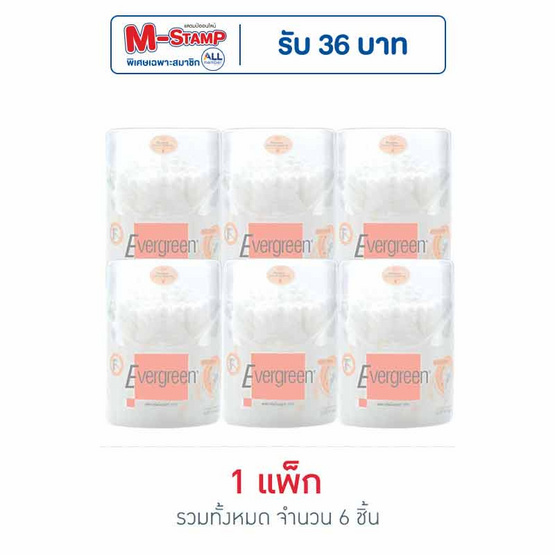 ก้านสำลีเอเวอร์กรีน กระปุก100 ก้าน 1แพ็ก (6ชิ้น)
