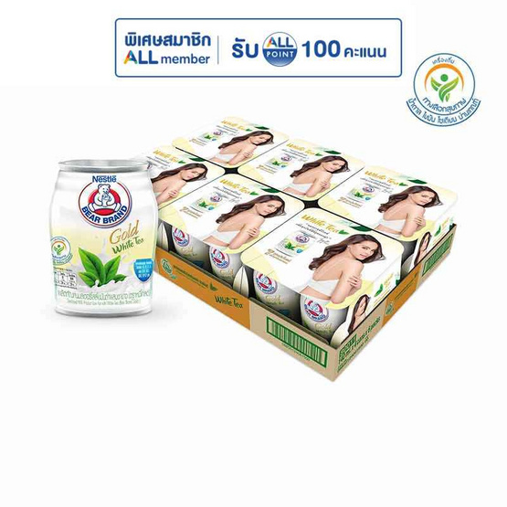 ตราหมีโกลด์ ชาขาว 140 มล. (ยกลัง 24 กระป๋อง)