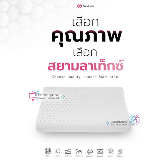 SiamLatex Curve Zen หมอนยางพารา