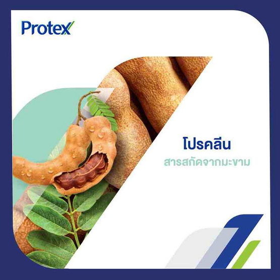 โพรเทคส์ สบู่ก้อน โปรคลีน 60 กรัม (แพ็ก 4 ก้อน)