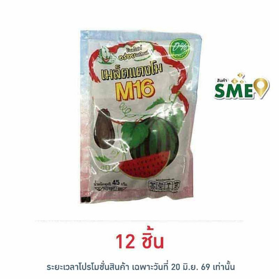 M16 เมล็ดแตงโม 45 กรัม