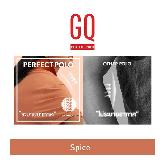 GQ ที่สุดแห่งเสื้อโปโล - Spice