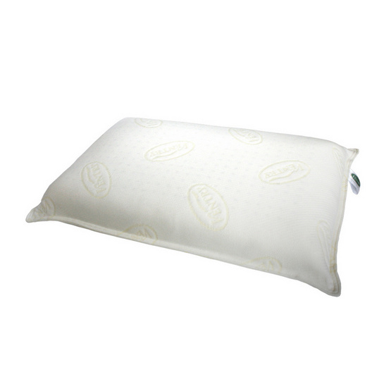 VENTRY หมอน Euro Pillow