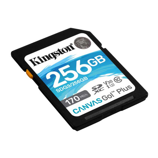 Kingston SD Card Canvas Go Plus 256 GB