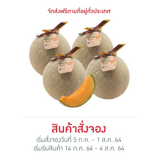 เมล่อนฮอกไกโด เกรดพรีเมี่ยม 4 ลูก เมล่อนฮอกไกโด เกรดพรีเมี่ยม 4 ลูก