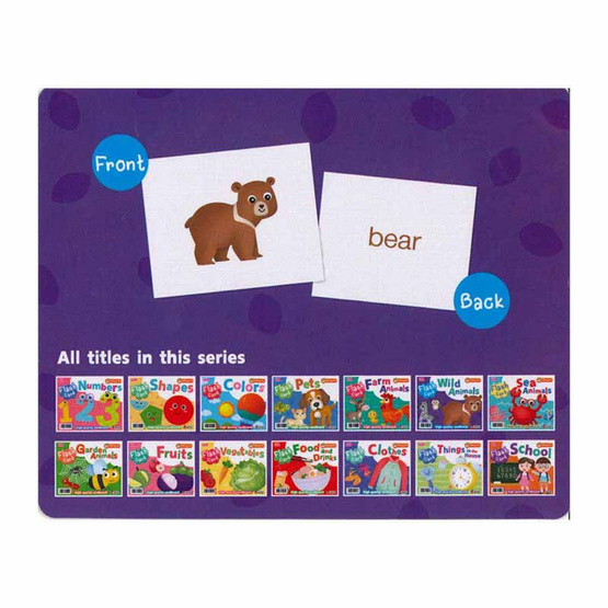 Flash Cards Wild Animals