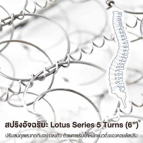 Lotus ที่นอน รุ่น O-Season II