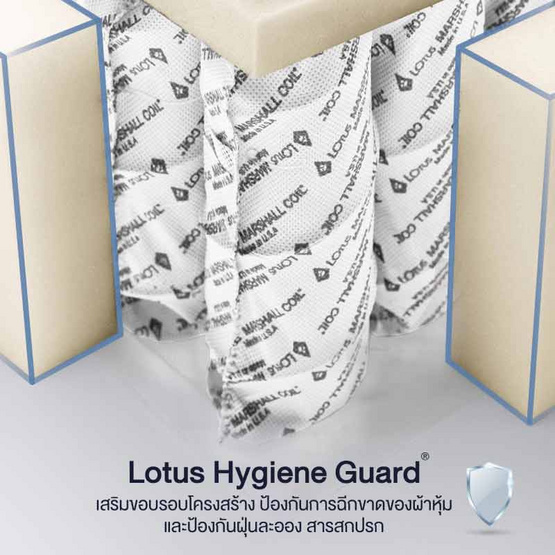 Lotus ที่นอน รุ่น O-Season Plus