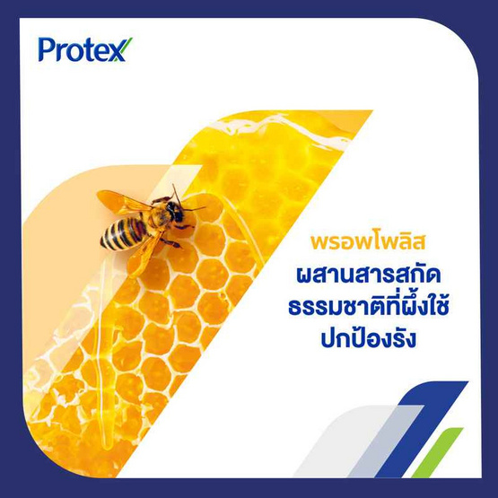 โพรเทคส์ ครีมอาบน้ำพรอพโพลิส 180 มล. (แพ็ก 3 ชิ้น) โพรเทคส์ ครีมอาบน้ำพรอพโพลิส 180 มล. (แพ็ก 3 ชิ้น)