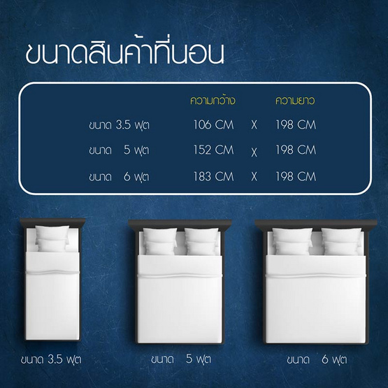 Satin ที่นอน Dream Tree หนา 10 นิ้ว รุ่น Peony ป้องกันไรฝุ่น เชื้อรา และแบคทีเรีย สีทอง