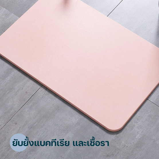 TS Modern Living พรมหินเช็ดเท้า 60 x 39 CM สีชมพู รุ่น  MAT0001PK