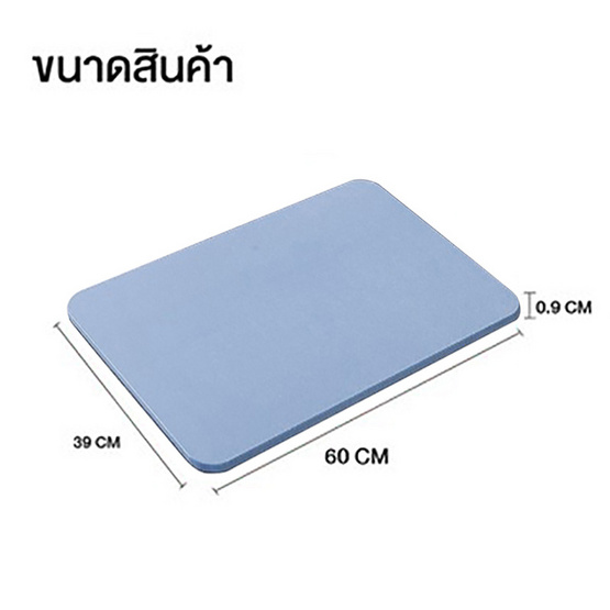 TS Modern Living พรมหินเช็ดเท้า 60 x 39 CM สีฟ้า รุ่น  MAT0001BU