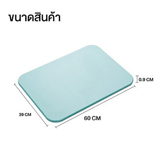 TS Modern Living พรมหินเช็ดเท้า 60 x 39 CM สีเขียว รุ่น MAT0001GR