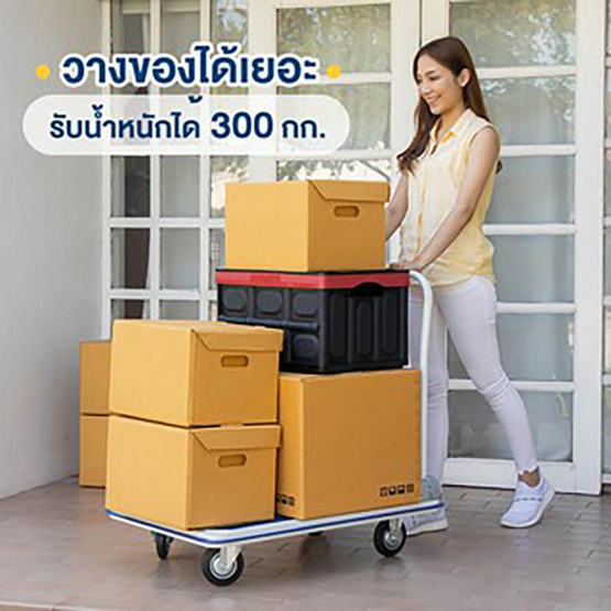 TS Modern Living รถเข็นของ 4 ล้อ พับได้ พื้นเหล็ก รุ่น Trolley0002