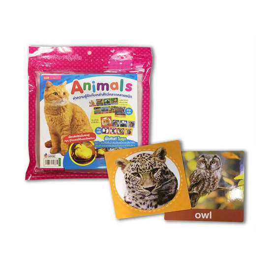 การ์ด Animal (ขนฟู) ทำความรู้จักกับเหล่าสัตว์หลากหลายชนิด