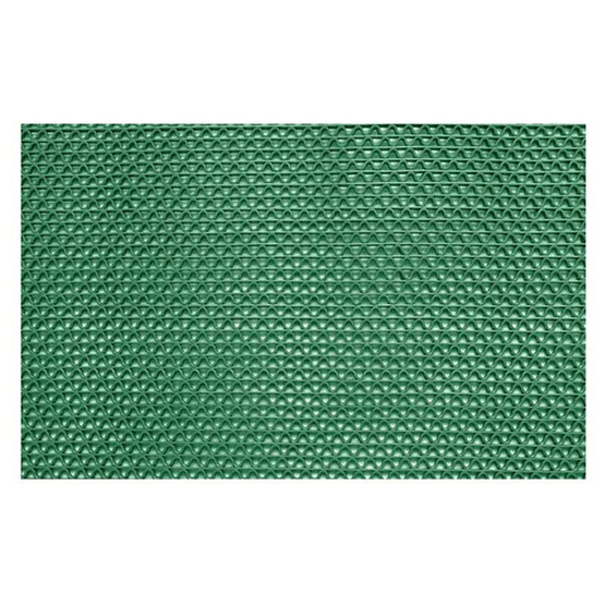 WSP พรมดักฝุ่นรุ่น WORM MAT สีเขียว ขนาด 40x60ซม.