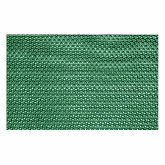 WSP พรมดักฝุ่นรุ่น WORM MAT สีเขียว ขนาด 60x90 ซม.