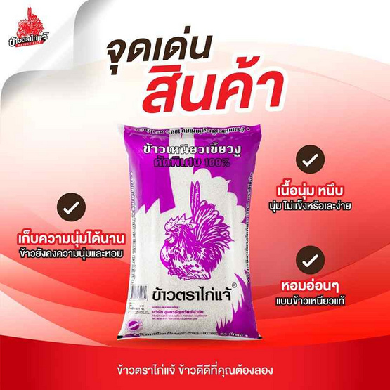 ไก่แจ้ ข้าวเหนียวเขี้ยวงูคัดพิเศษ 100% 1 กิโลกรัม ไก่แจ้ ข้าวเหนียวเขี้ยวงูคัดพิเศษ 100% 1 กิโลกรัม