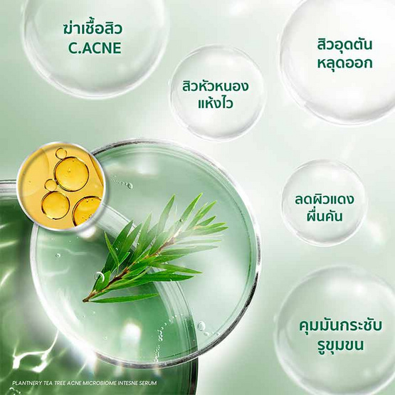 Plantnery เซรั่ม Tea Tree Intense Serum 30 มล.