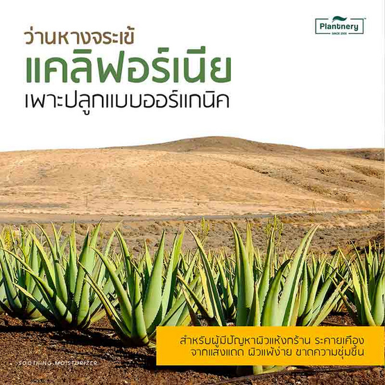 Plantnery ซูทติ้งเจล Aloe Vera Soothing Gel 280 มล.