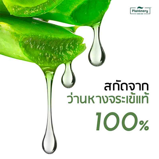 Plantnery ซูทติ้งเจล Aloe Vera Soothing Gel 280 มล.