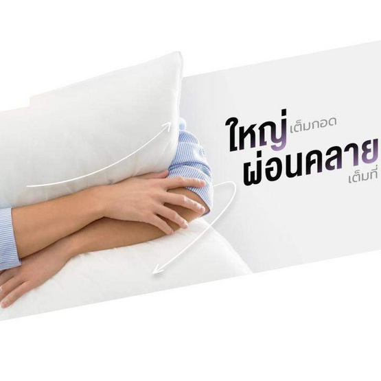 SiamLatex Cuddle หมอนขนาดใหญ่ หมอนบอดี้พิลโล่