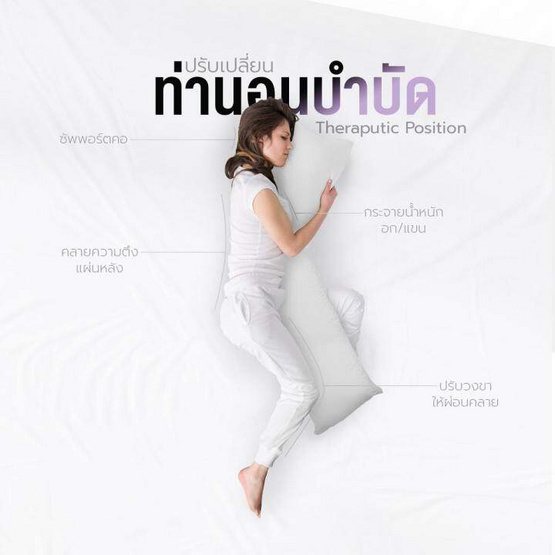 SiamLatex Cuddle หมอนขนาดใหญ่ หมอนบอดี้พิลโล่