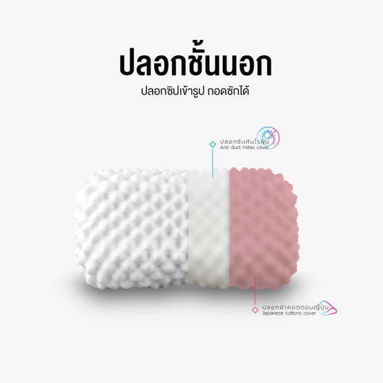 SiamLatex ปลอกหมอนยางพารา รุ่น Colorful สำหรับ หมอนยางพารา รุ่น Durian และ Durian Charcoal