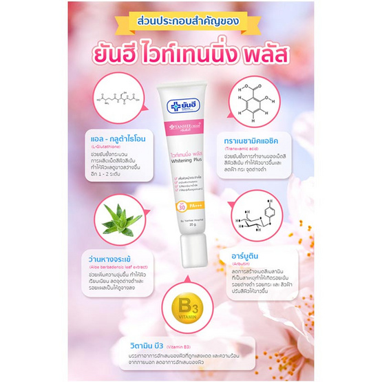 Yanhee  ครีมบำรุงผิว สูตร Whitening Plus 20 กรัม (แพ็ก3ชิ้น)