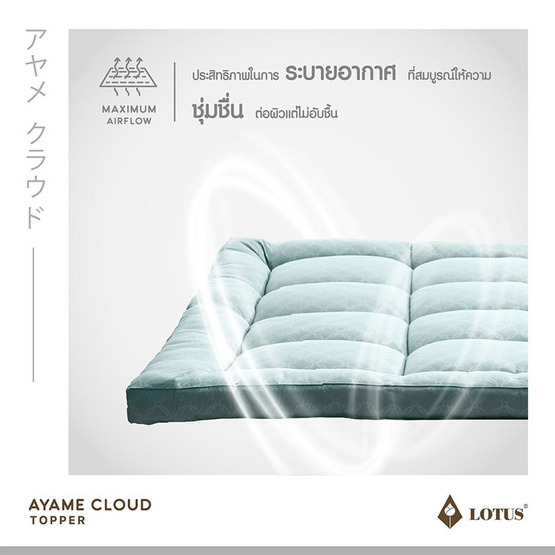 Lotus ท็อปเปอร์ รุ่น AYAME CLOUD CREAM