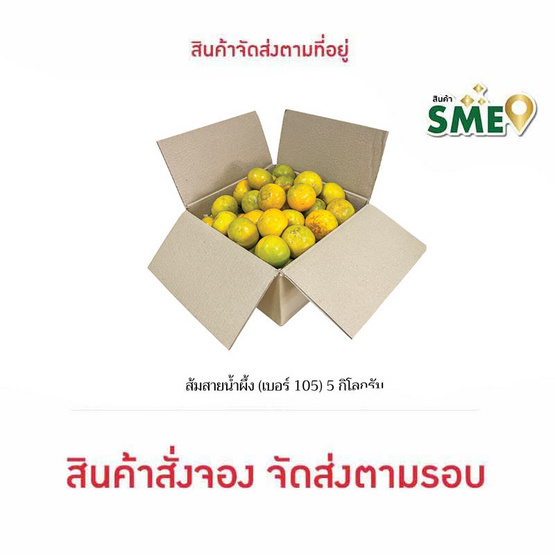 สวนร่มเกล้า ส้มสายน้ำผึ้ง (เบอร์ 105) 5 กิโลกรัม สวนร่มเกล้า ส้มสายน้ำผึ้ง (เบอร์ 105) 5 กิโลกรัม