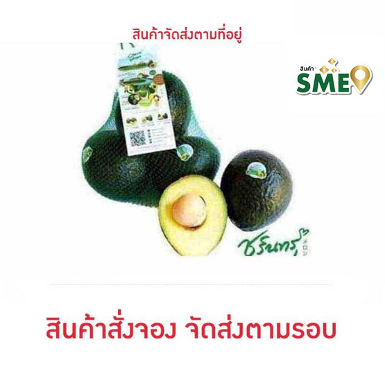 อะโวคาโด พันธุ์พื้นเมือง 1 kg ไร่ชรินทร์พรรณ