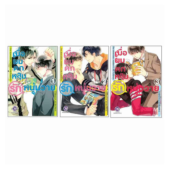 หนังสือการ์ตูนชุด เมื่อผมตกหลุมรักหนุ่มวาย เล่ม 1-3 (3 เล่มจบ)