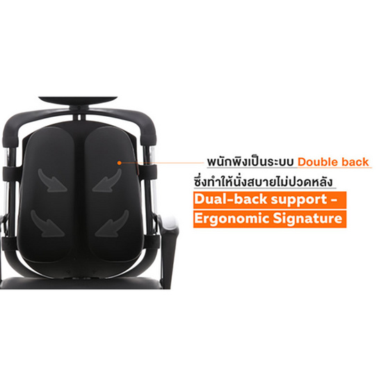 Ergotrend เก้าอี้เพื่อสุขภาพ รุ่น Dual-01BPP สีดำ