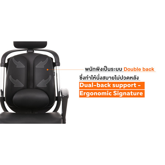 Ergotrend เก้าอี้เพื่อสุขภาพ รุ่น Dual-02BPP สีดำ