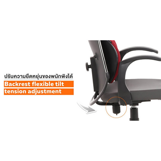 Ergotrend เก้าอี้เพื่อสุขภาพ รุ่น Dual-03