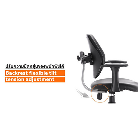 Ergotrend เก้าอี้เพื่อสุขภาพ รุ่น Dual-04BPP สีดำ