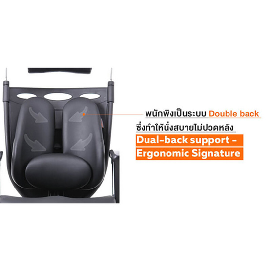 Ergotrend เก้าอี้เพื่อสุขภาพ รุ่น Dual-05BPP สีดำ