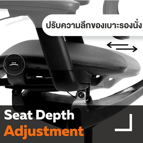 Ergotrend เก้าอี้เพื่อสุขภาพ รุ่นน Oster