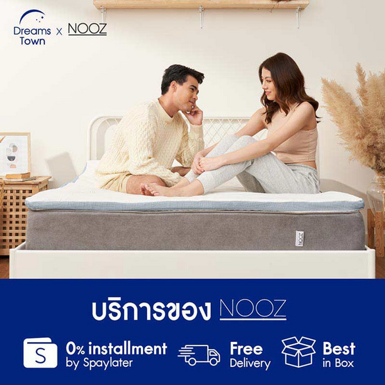 Nooz ท็อปเปอร์เมมโมรี่โฟม รุ่น Ergo Series Cool Max