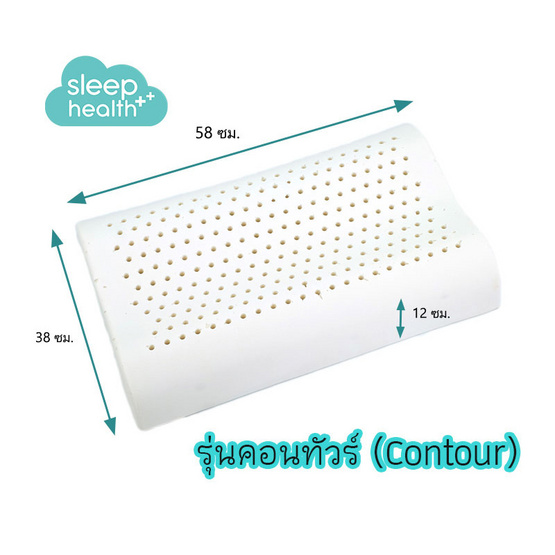 Sleep Health หมอนยางพาราธรรมชาติ รุ่นคอนทัวร์