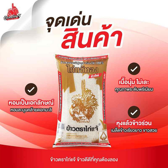 ข้าวไก่แจ้ทอง ข้าวหอมมะลิ 100% (ข้าวใหม่) 5 กิโลกรัม ข้าวไก่แจ้ทอง ข้าวหอมมะลิ 100% (ข้าวใหม่) 5 กิโลกรัม