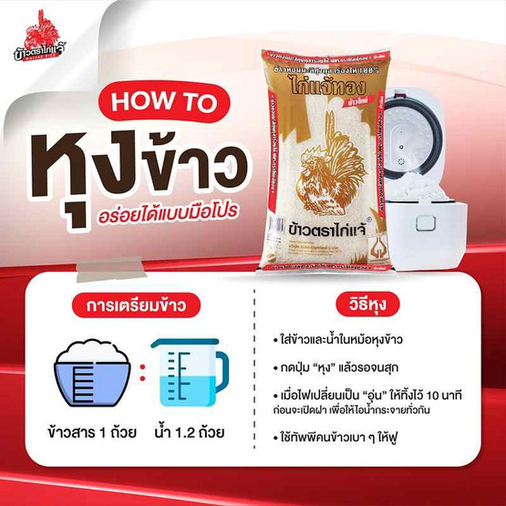ข้าวไก่แจ้ทอง ข้าวหอมมะลิ 100% (ข้าวใหม่) 5 กิโลกรัม ข้าวไก่แจ้ทอง ข้าวหอมมะลิ 100% (ข้าวใหม่) 5 กิโลกรัม