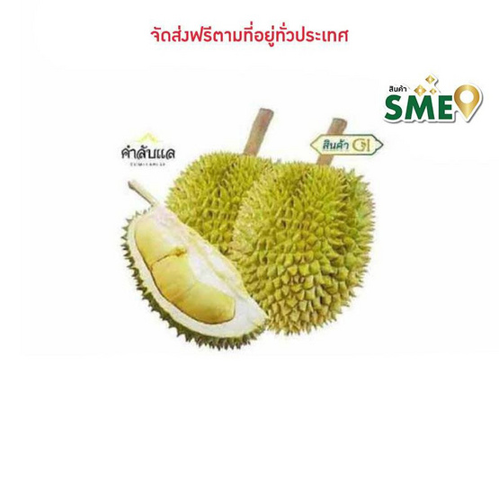 ทุเรียนหลงลับแล กล่อง 2 ลูก (3 กก.) สวนคำลับแล จ.อุตรดิตถ์ ทุเรียนหลงลับแล กล่อง 2 ลูก (3 กก.) สวนคำลับแล จ.อุตรดิตถ์