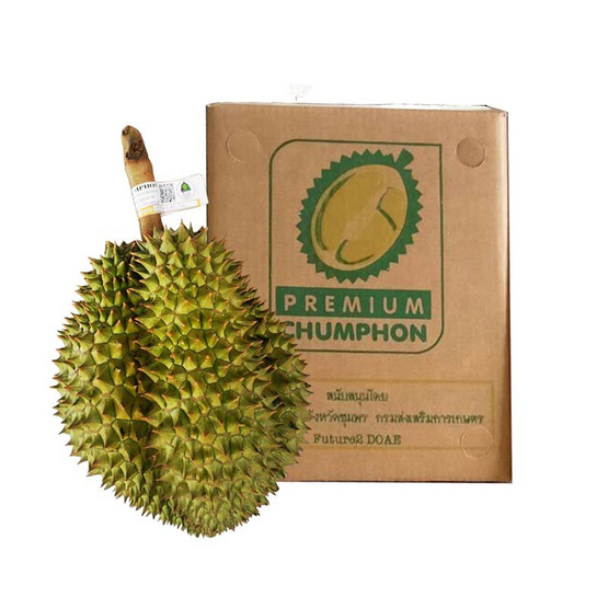 สวนทวีทรัพย์ ทุเรียนหมอนทอง ไซส์ S (3 kg) สวนทวีทรัพย์ ทุเรียนหมอนทอง ไซส์ S (3 kg)