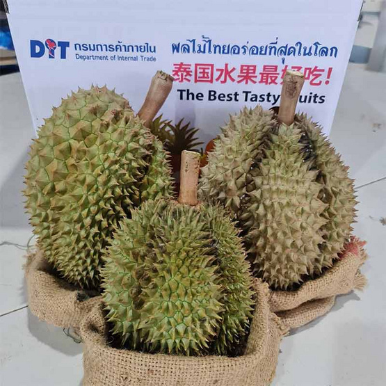 สวนทวีทรัพย์ ทุเรียนหมอนทอง ไซส์ S (3 kg) สวนทวีทรัพย์ ทุเรียนหมอนทอง ไซส์ S (3 kg)