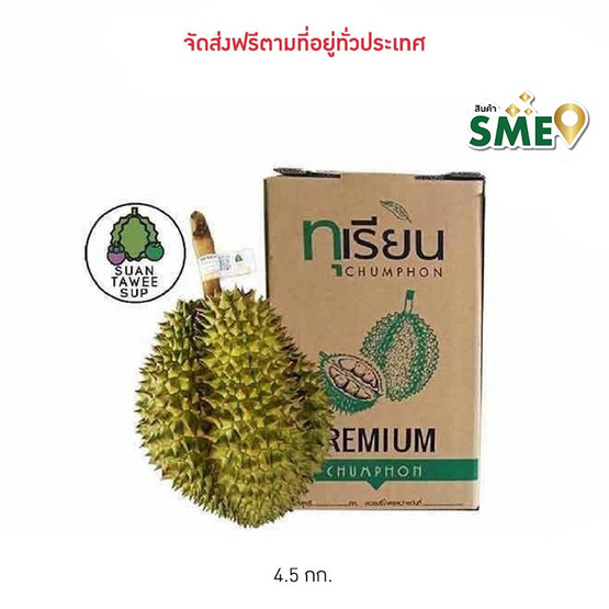 สวนทวีทรัพย์ ทุเรียนหมอนทอง ไซส์ L กล่อง 4.5 กก. สวนทวีทรัพย์ ทุเรียนหมอนทอง ไซส์ L กล่อง 4.5 กก.