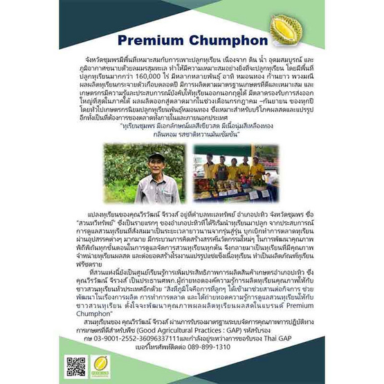 สวนทวีทรัพย์ ทุเรียนหมอนทอง ไซส์ L กล่อง 4.5 กก. สวนทวีทรัพย์ ทุเรียนหมอนทอง ไซส์ L กล่อง 4.5 กก.